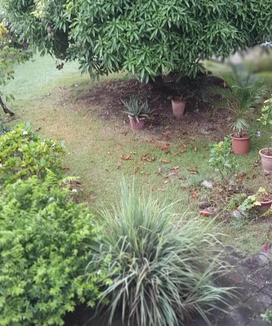 Les Bougainvilliers Apartman Le Vauclin 0*,  Martinique