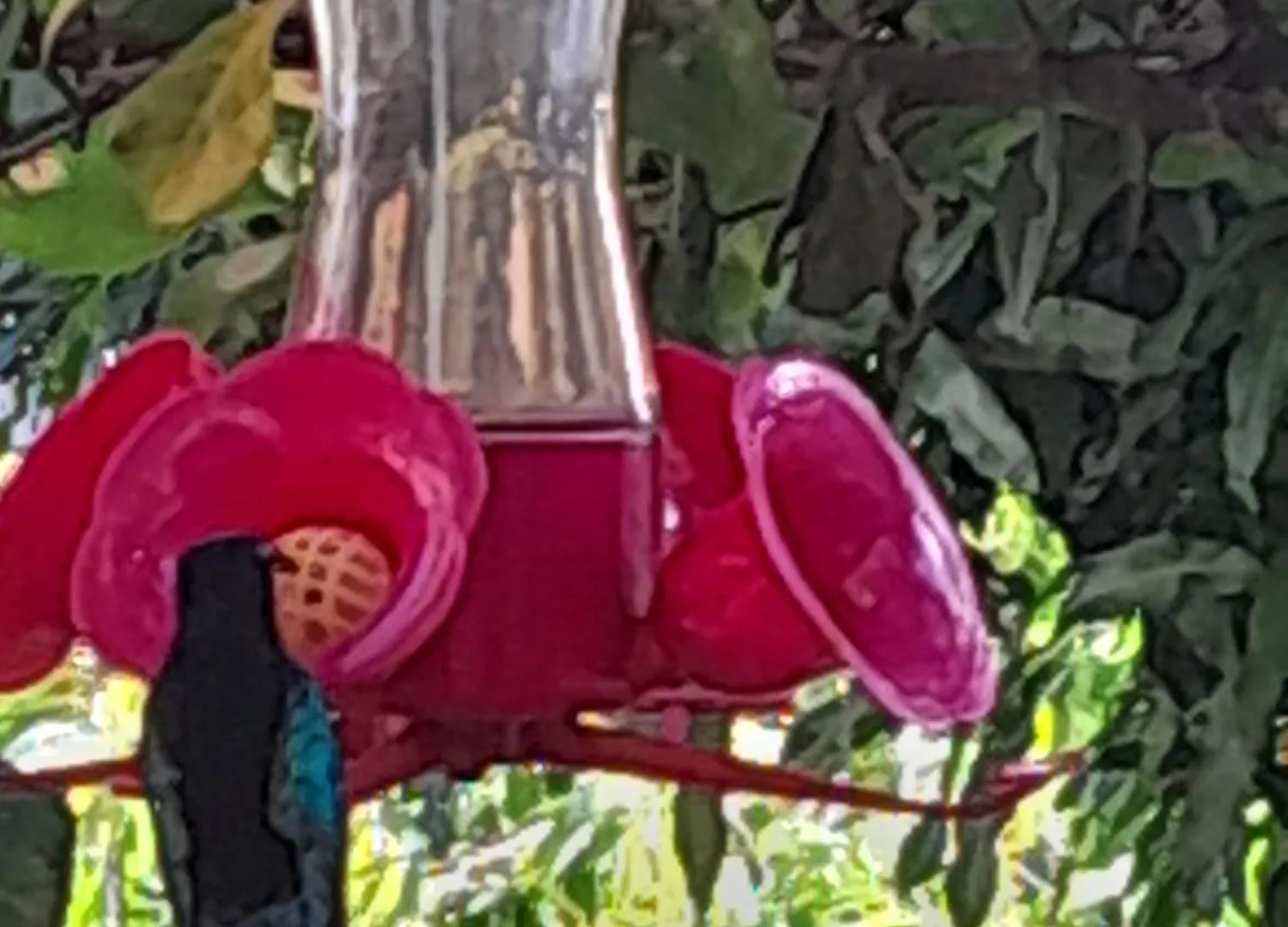 Les Bougainvilliers Apartman Le Vauclin Martinique